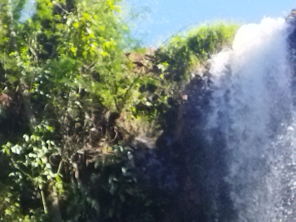 Ricarddo Barros Guerreiro