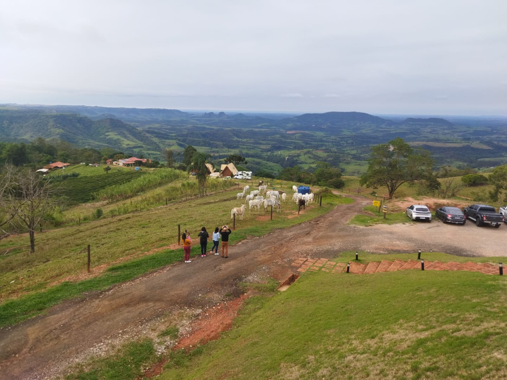 Ricarddo Barros Guerreiro