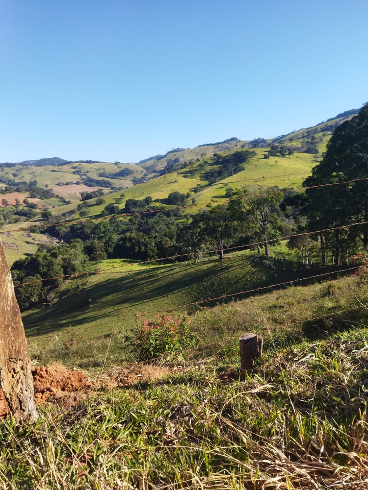 Ricarddo Barros Guerreiro