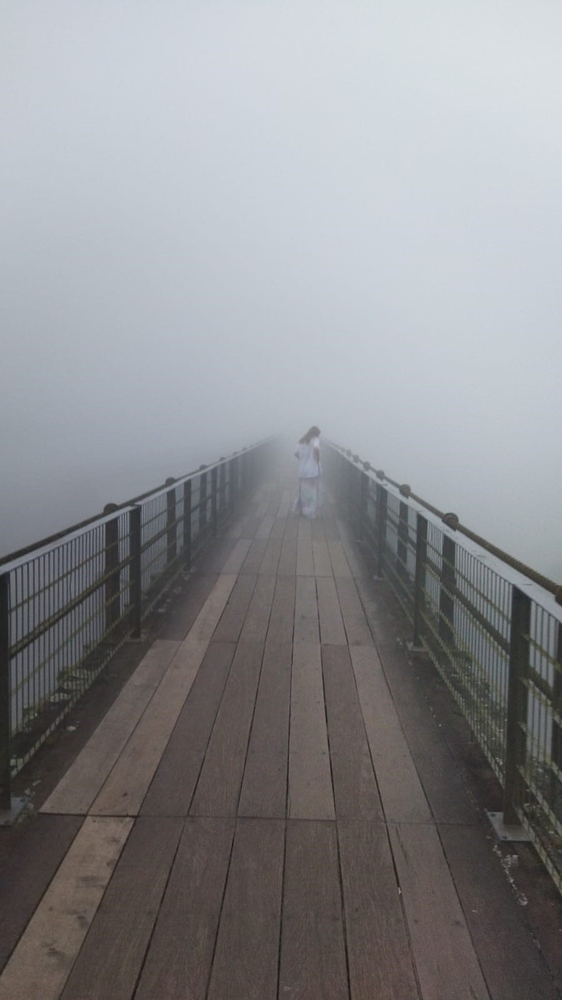 Ricarddo Barros Guerreiro