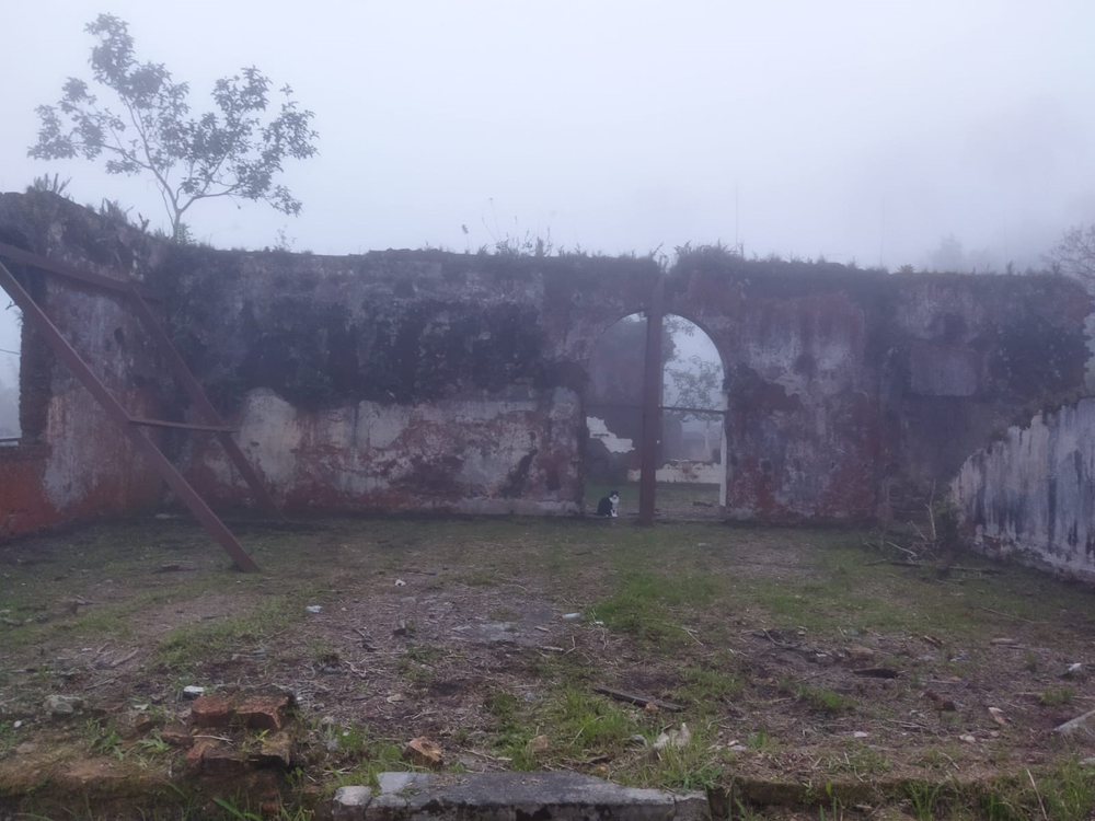 Ricarddo Barros Guerreiro