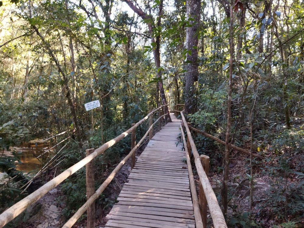 Ricarddo Barros Guerreiro