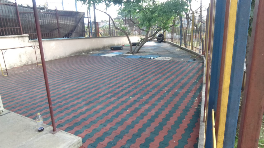 Ricarddo Barros Guerreiro