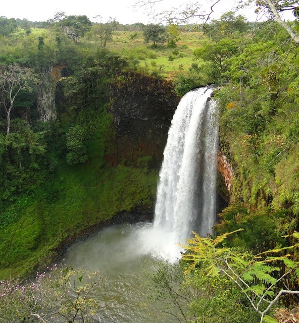 Ricarddo Barros Guerreiro