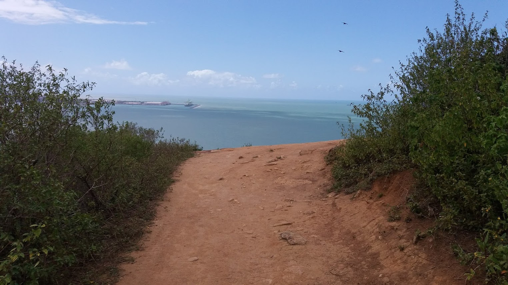 Ricarddo Barros Guerreiro