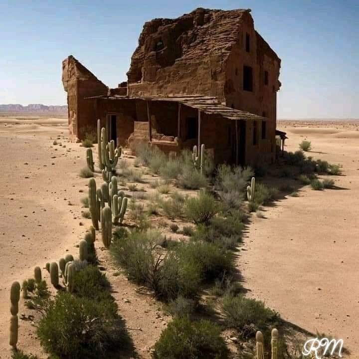 Ricarddo Barros Guerreiro