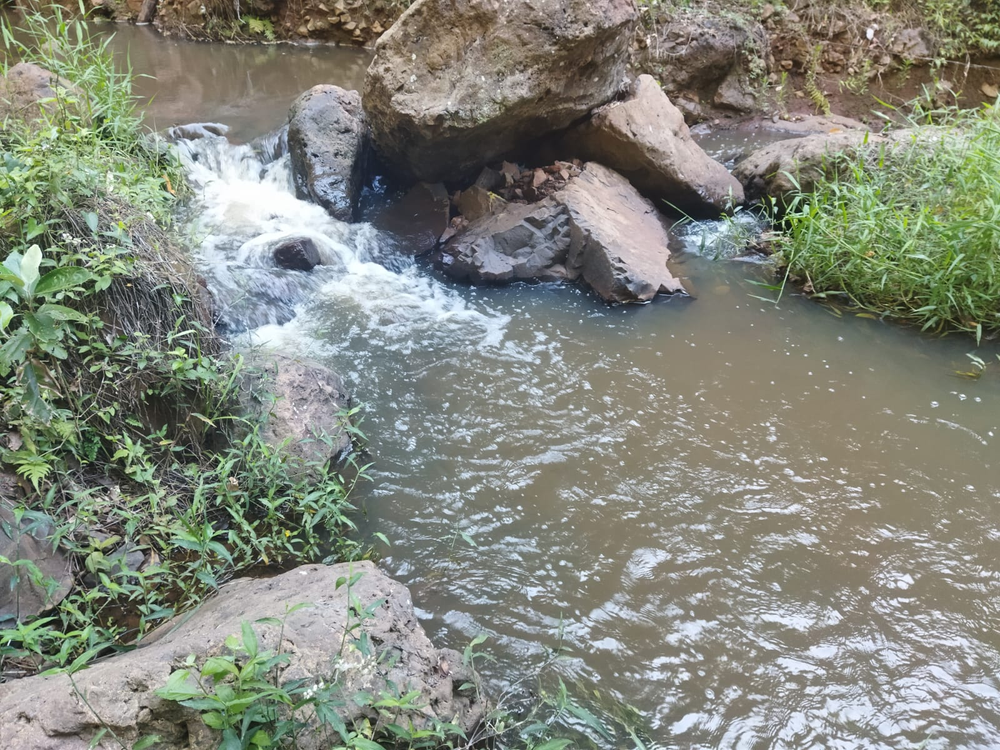 Ricarddo Barros Guerreiro