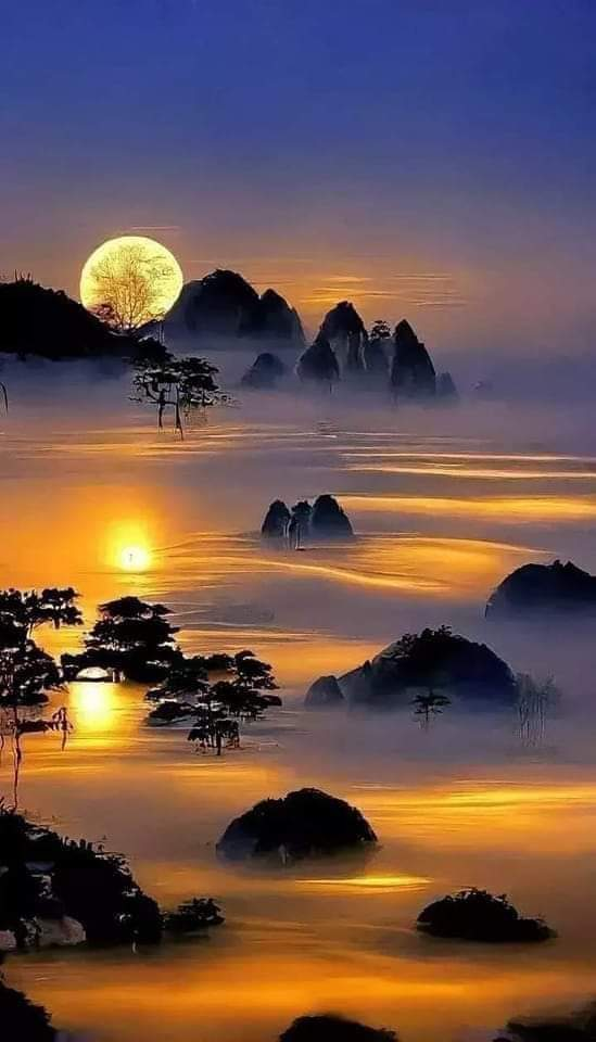 Ricarddo Barros Guerreiro