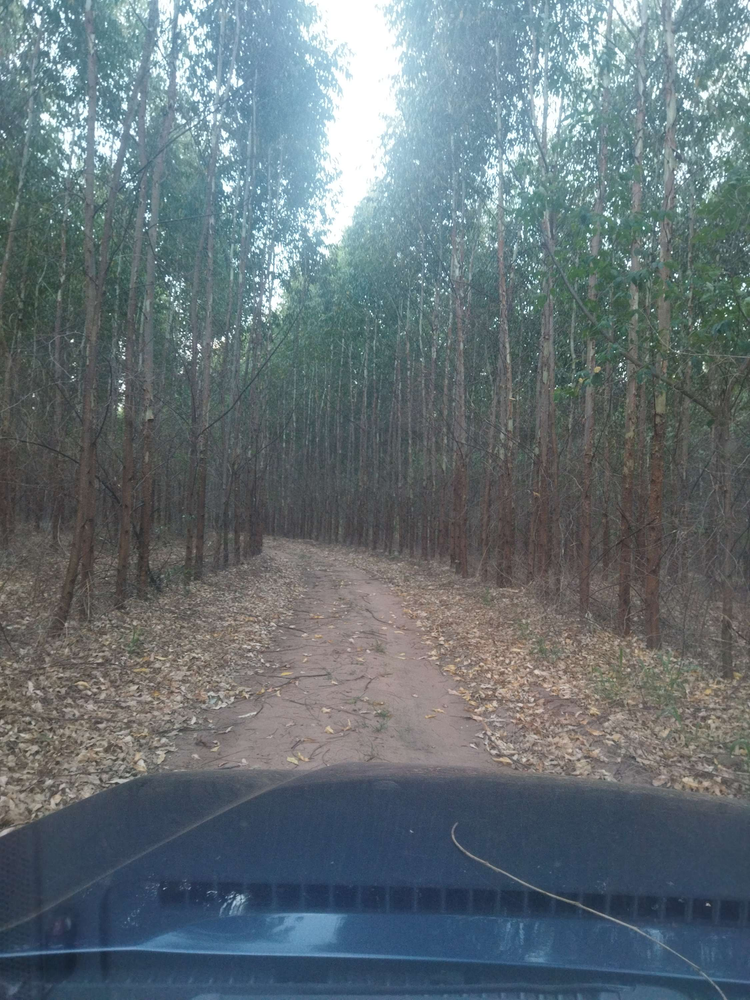 Ricarddo Barros Guerreiro