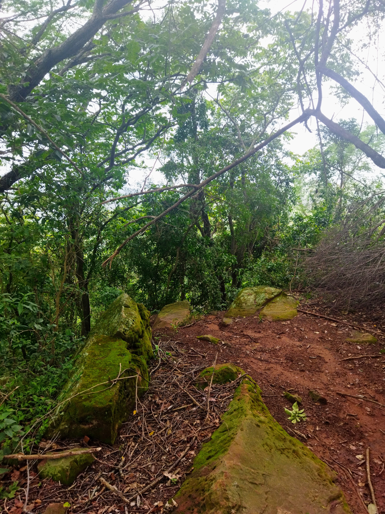 Ricarddo Barros Guerreiro