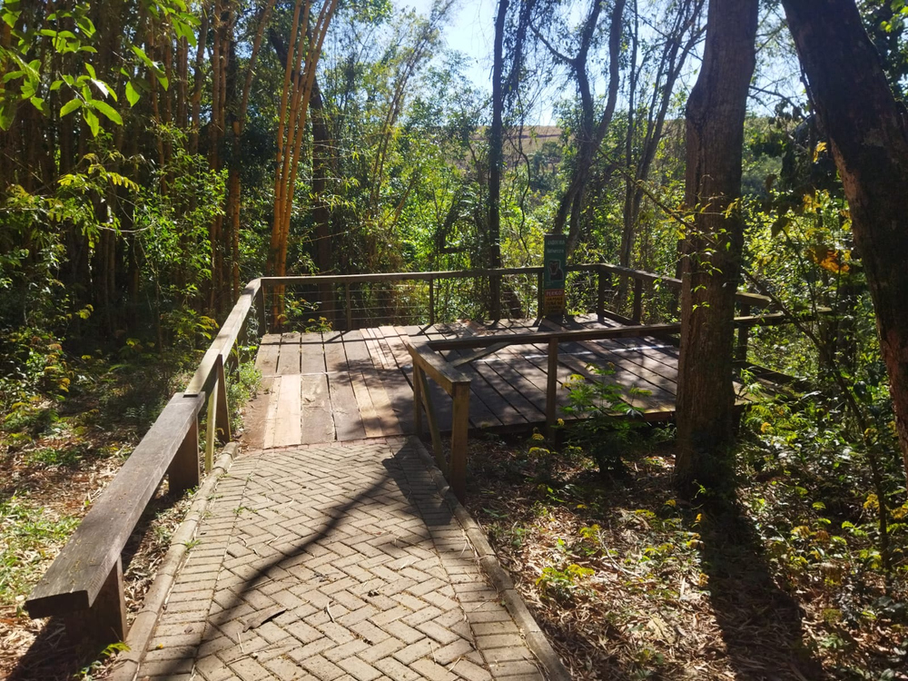 Ricarddo Barros Guerreiro