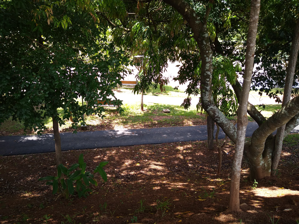 Ricarddo Barros Guerreiro