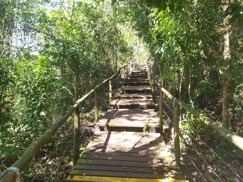 Ricarddo Barros Guerreiro