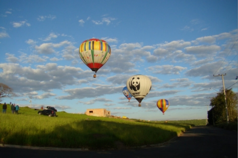 Ricarddo Barros Guerreiro