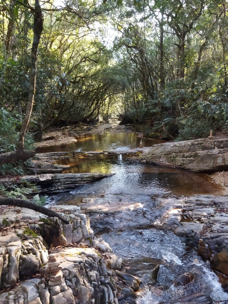Ricarddo Barros Guerreiro