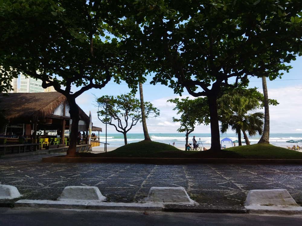 Ricarddo Barros Guerreiro