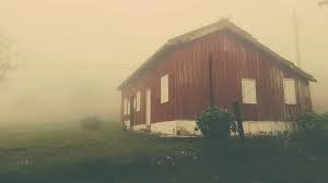 Ricarddo Barros Guerreiro