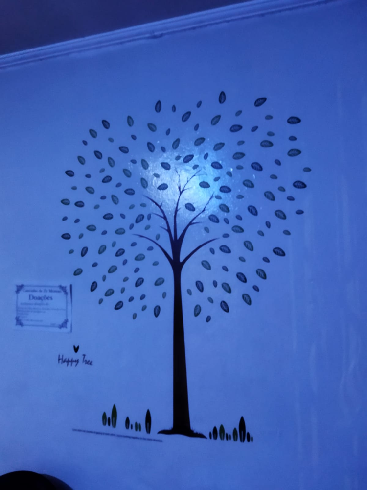 Ricarddo Barros Guerreiro