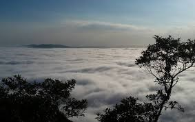 Ricarddo Barros Guerreiro