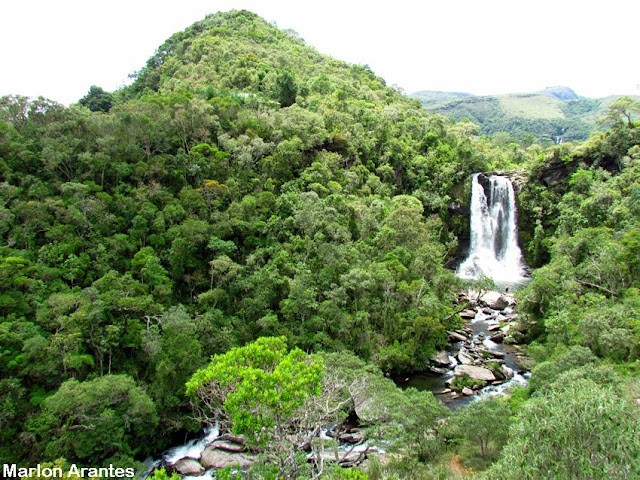 Ricarddo Barros Guerreiro