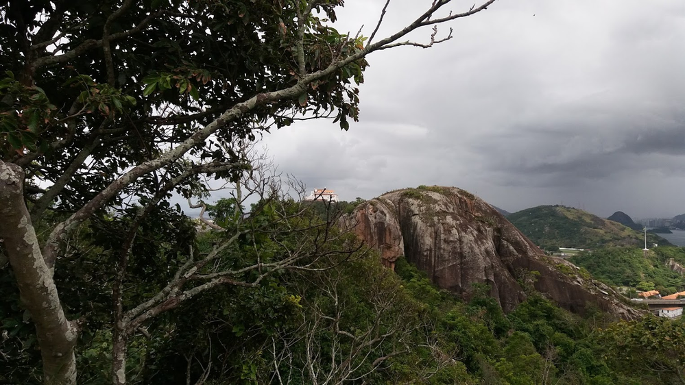 Ricarddo Barros Guerreiro