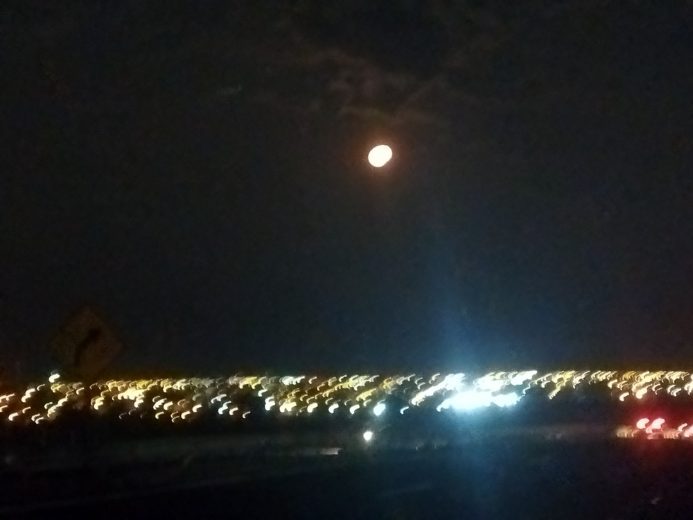 Ricarddo Barros Guerreiro