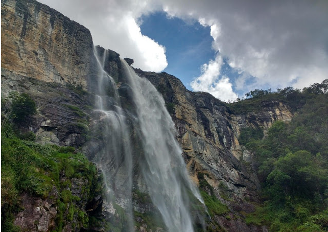 Ricarddo Barros Guerreiro