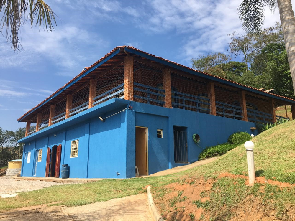 Ricarddo Barros Guerreiro