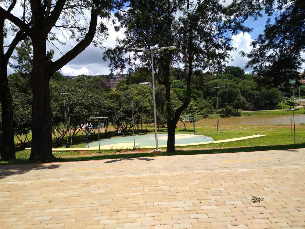 Ricarddo Barros Guerreiro