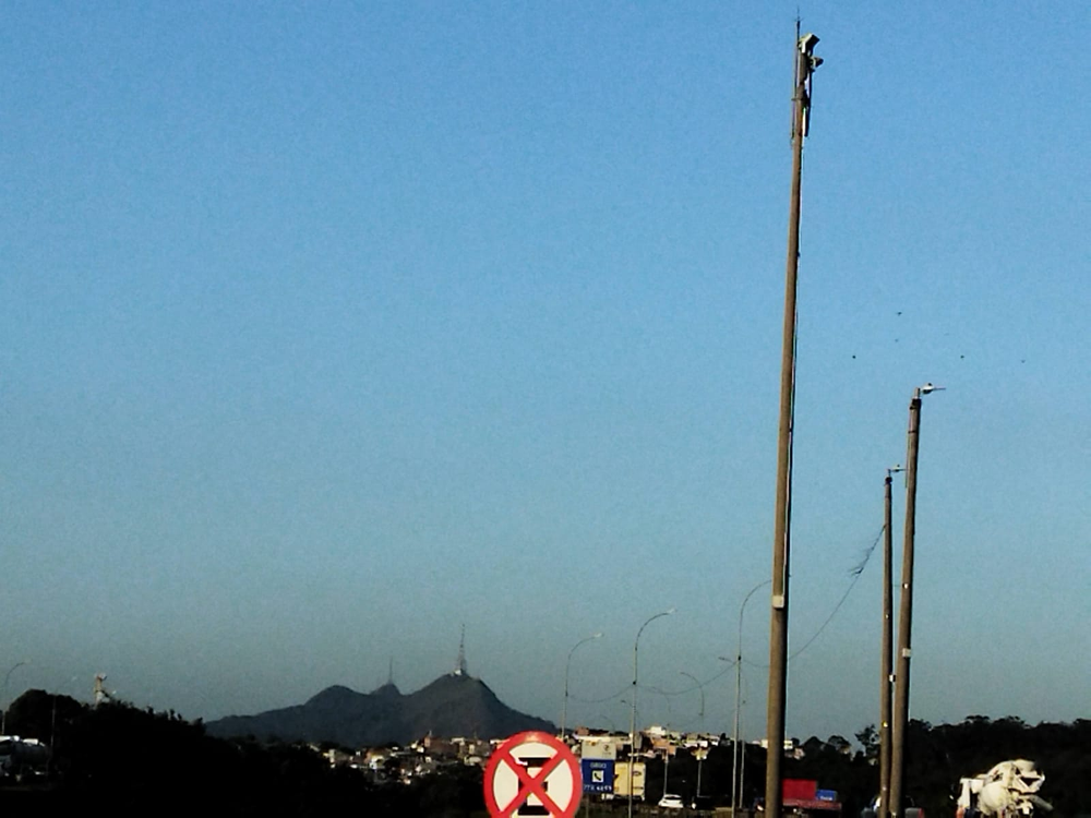 Ricarddo Barros Guerreiro