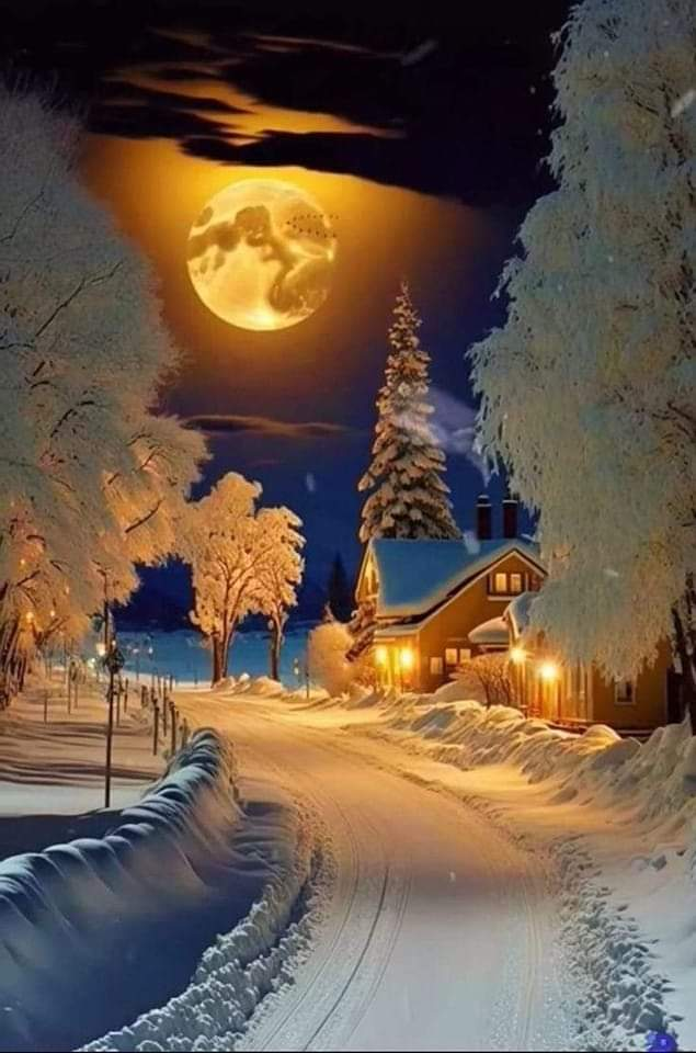 Ricarddo Barros Guerreiro