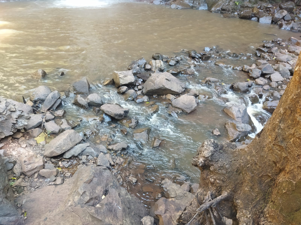 Ricarddo Barros Guerreiro