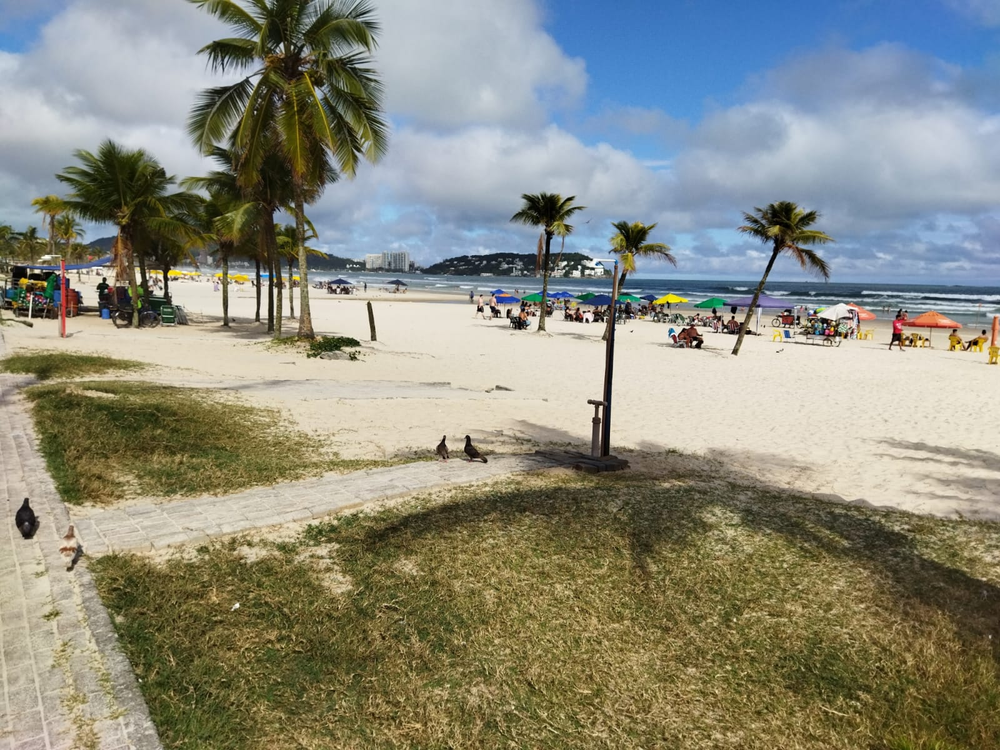 Ricarddo Barros Guerreiro