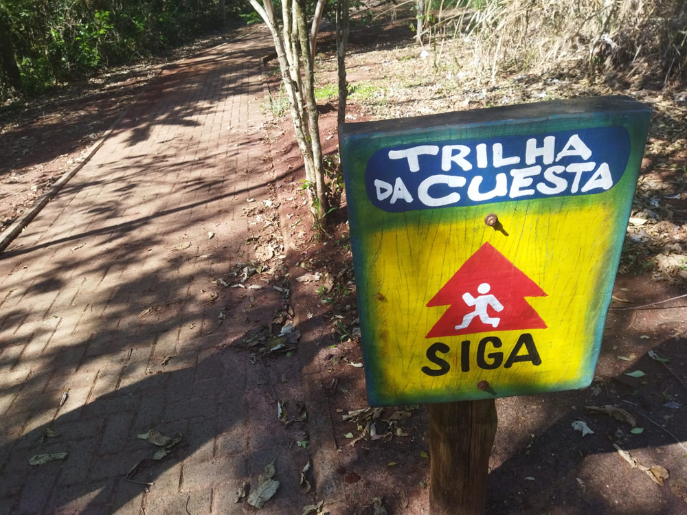 Ricarddo Barros Guerreiro