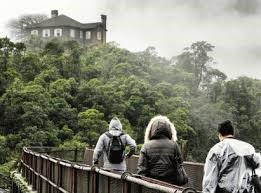 Ricarddo Barros Guerreiro