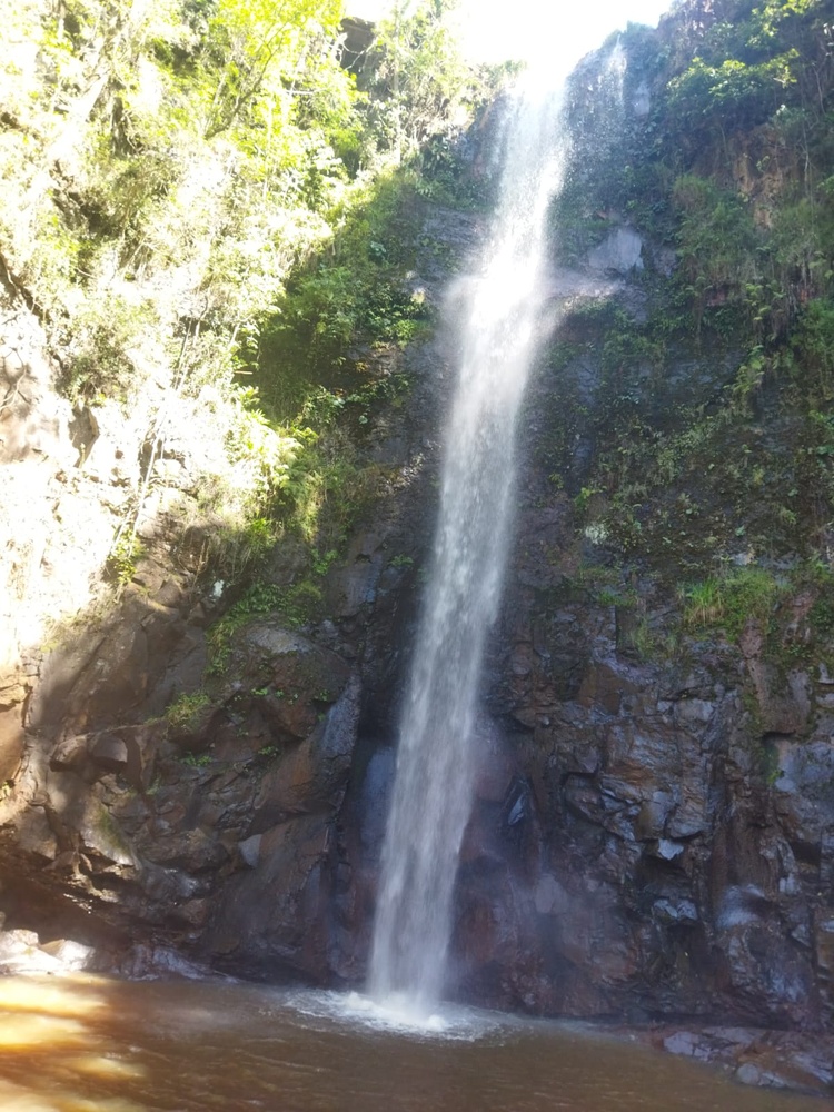 Ricarddo Barros Guerreiro