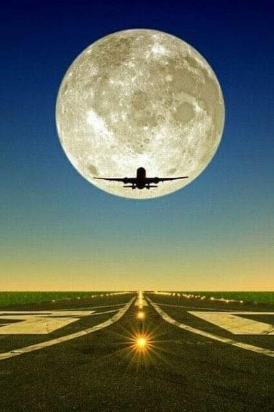 Ricarddo Barros Guerreiro