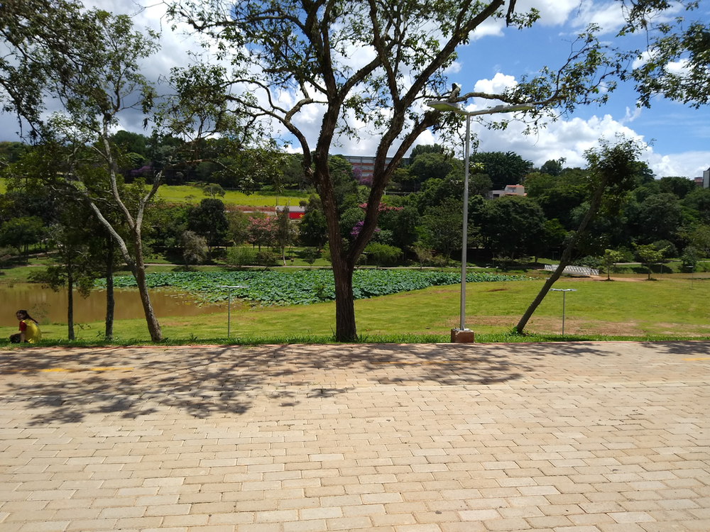 Ricarddo Barros Guerreiro