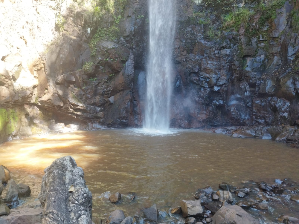 Ricarddo Barros Guerreiro