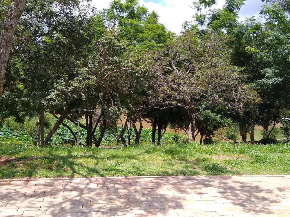 Ricarddo Barros Guerreiro