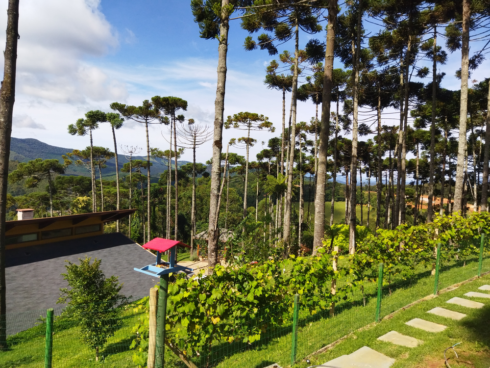 Ricarddo Barros Guerreiro