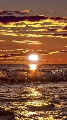 Ricarddo Barros Guerreiro