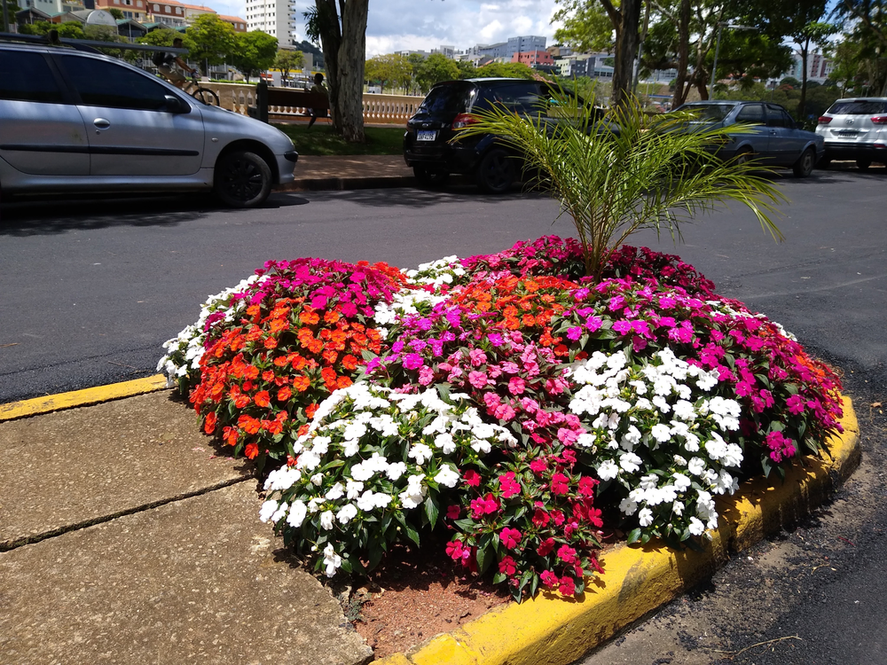 Ricarddo Barros Guerreiro