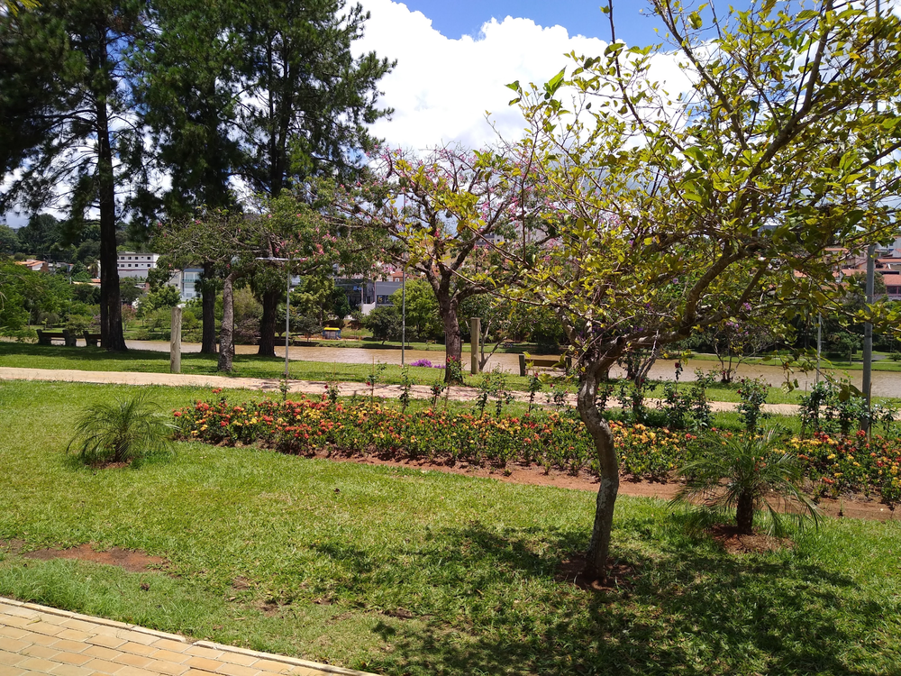 Ricarddo Barros Guerreiro