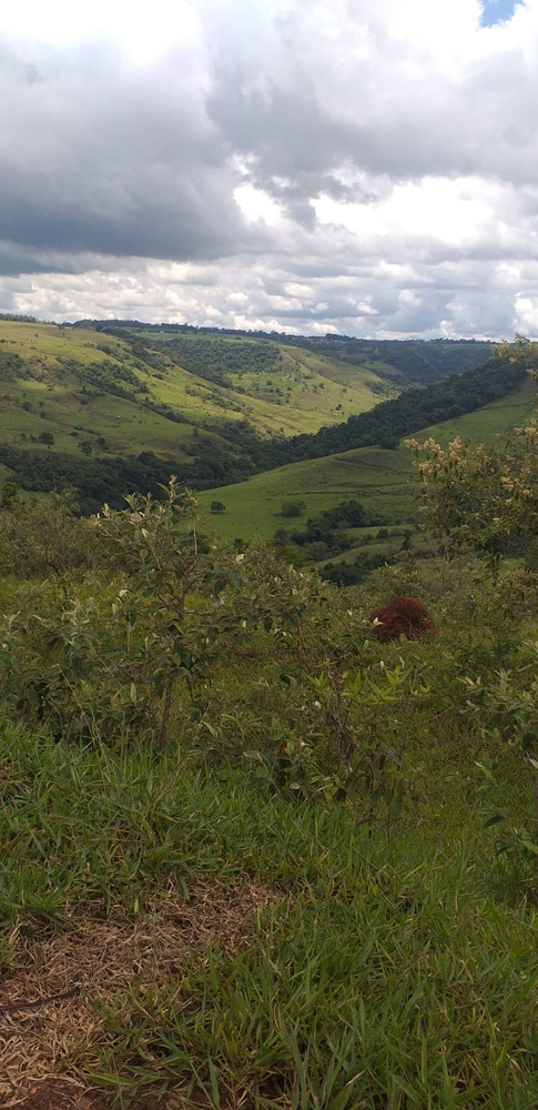 Ricarddo Barros Guerreiro
