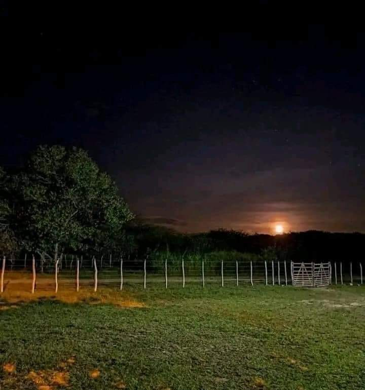 Ricarddo Barros Guerreiro