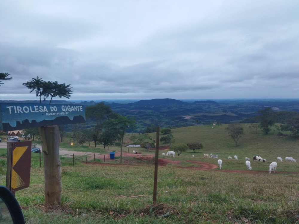 Ricarddo Barros Guerreiro