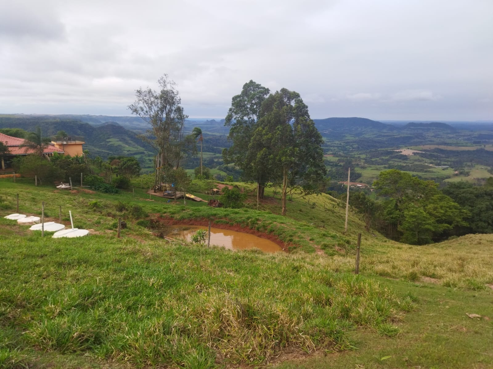 Ricarddo Barros Guerreiro