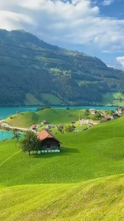 Ricarddo Barros Guerreiro