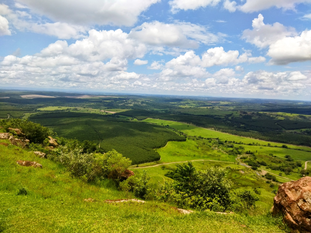 Ricarddo Barros Guerreiro